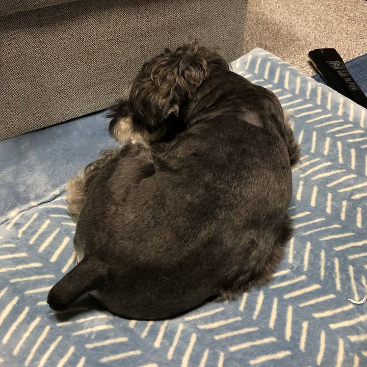 Aaf2960d 0c9a 4dcf b2ac e42015b102be 1691329181947