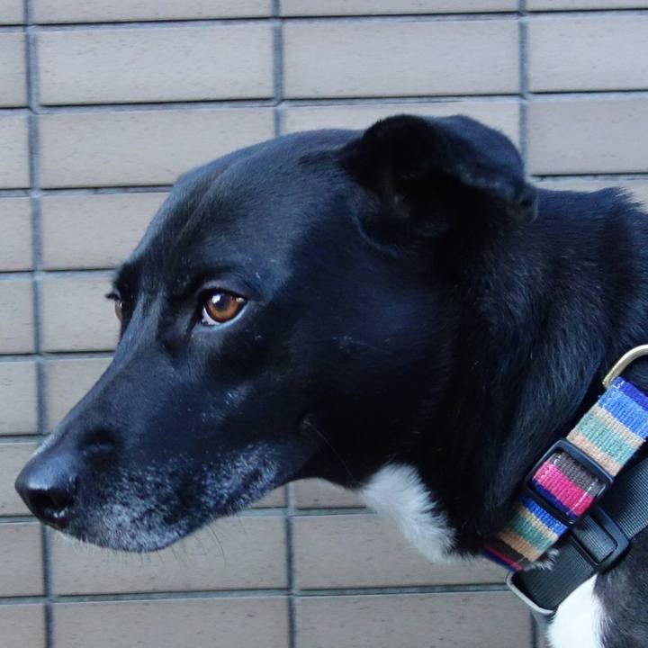 Aaf2ab5c 5cd8 4dee a312 9f26762ed719 1638663946735