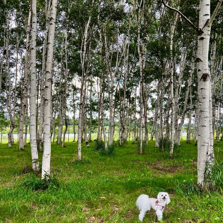 Aaf2aee0 8f55 48de a780 84924e8e84cd 1662445531767