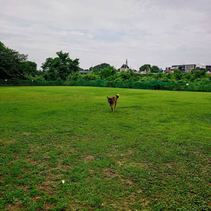 Aaf2d222 a968 4cc7 9e44 0f773f7cca89 1751669333086