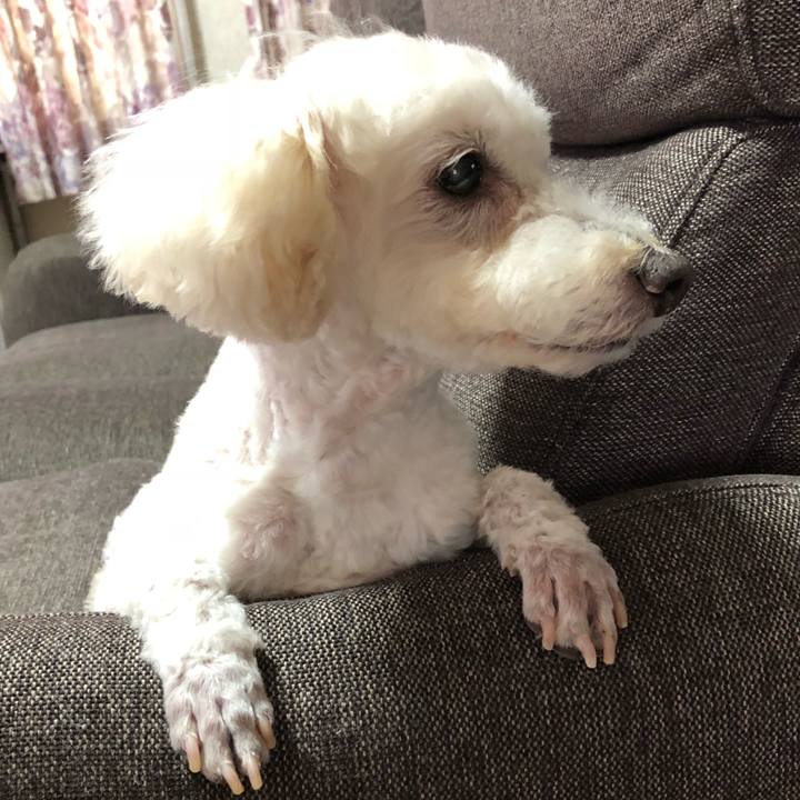 Aaf34c62 1584 49df 87da d435189cfb52 1530604672869