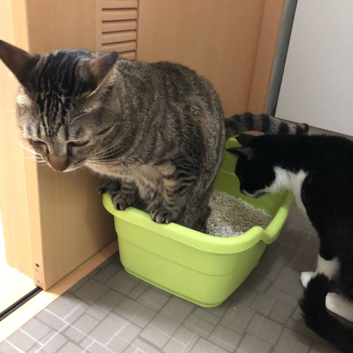 Aaf34ee0 01a4 4cae afe4 0946442a176a 1560678927617