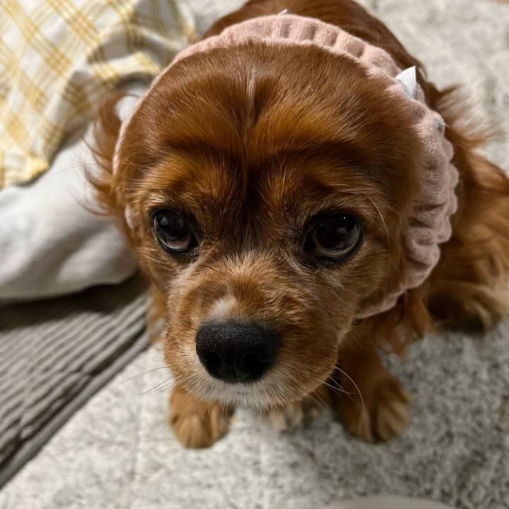 Aaf39809 de00 427b a097 5f655ac6b5a7 1676196656886