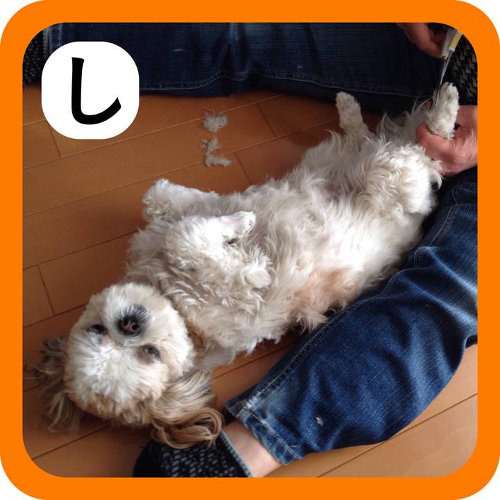 Aaf3d8dd 2cea 4bd4 9cfa a38e75ce6027 1515213994055