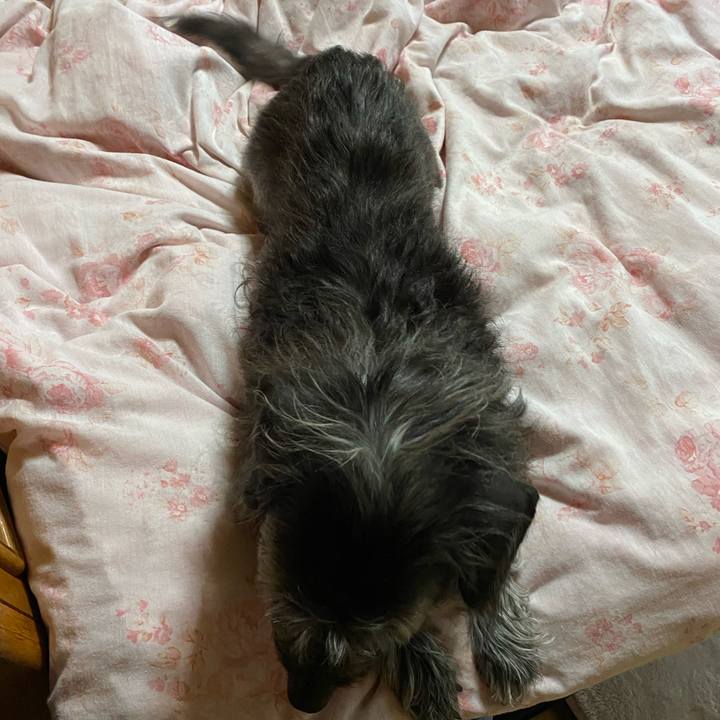 Aaf3e7ee 4762 4e7a b9ca 2e8bae479a46 1603234675147