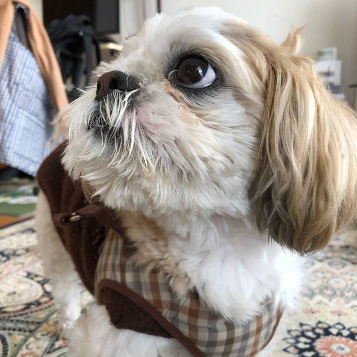 Aaf3fcc0 e3d8 4802 bf4a 9e15f77c294f 1554241725794