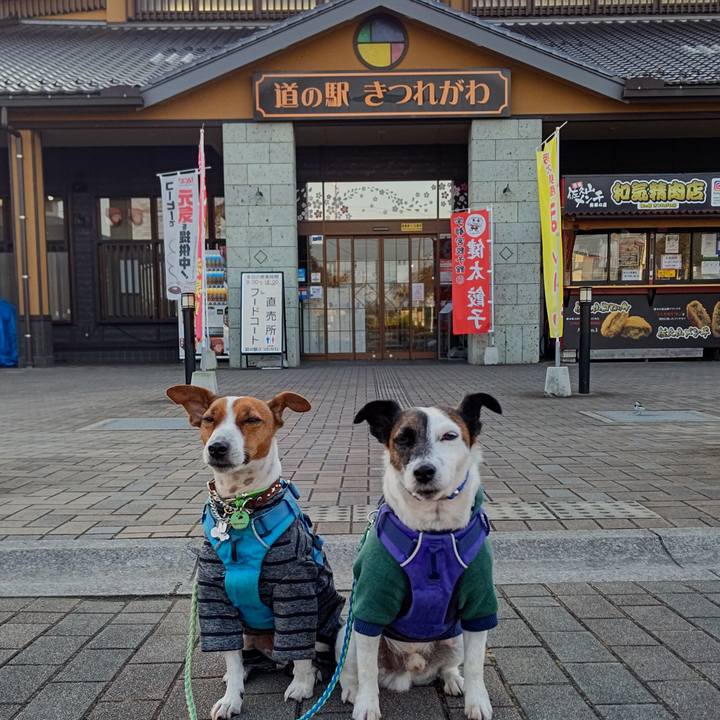 Aaf4628c 142b 4d3d a988 a3a733abaf2c 1635635178257