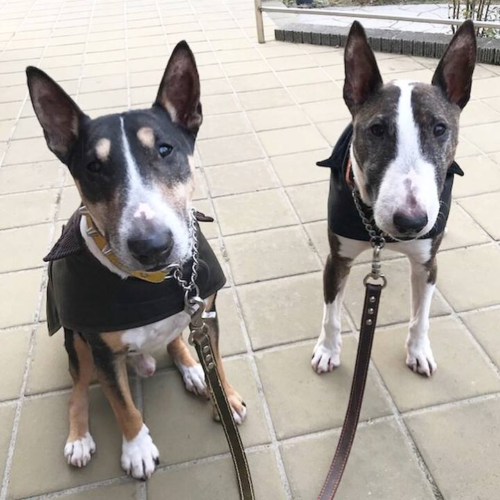 Aaf468d9 d3d8 48fd 92eb fbb5b7575569 1512895203354