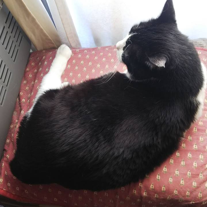 Aaf4b4b6 8bc0 4938 8679 82fb21bbe733 1549065506718