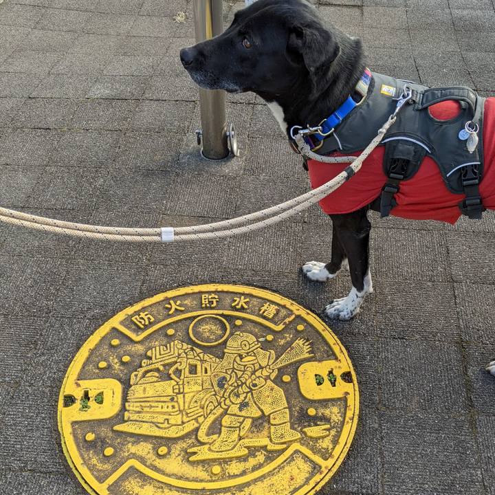 Aaf4bdd7 90cc 4f94 bd1b f02cc2b77072 1645666814054