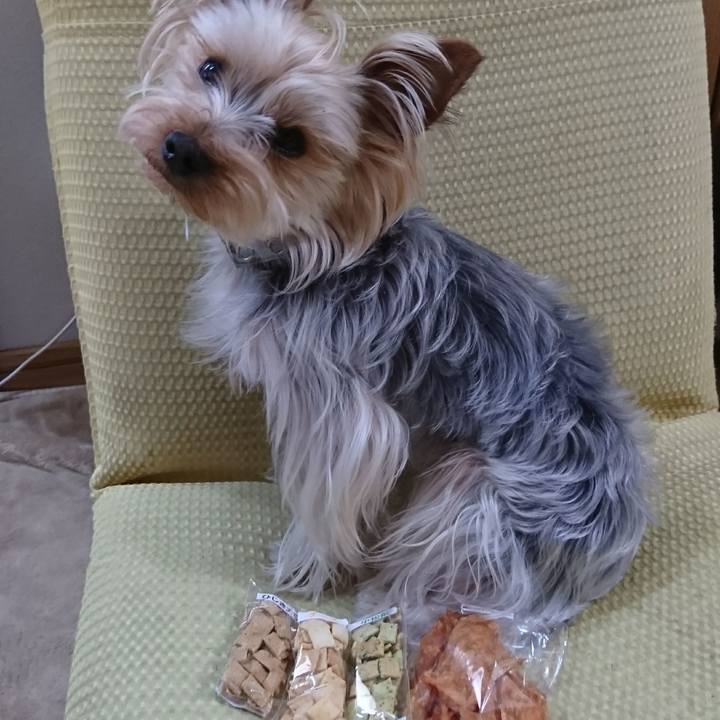 Aaf4cb23 adeb 4f4d 8277 0475932ef3c9 1525413378764