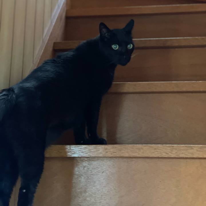 Aaf4e5c2 d9d2 4a31 89ee 3a31c6db12ba 1659310095245