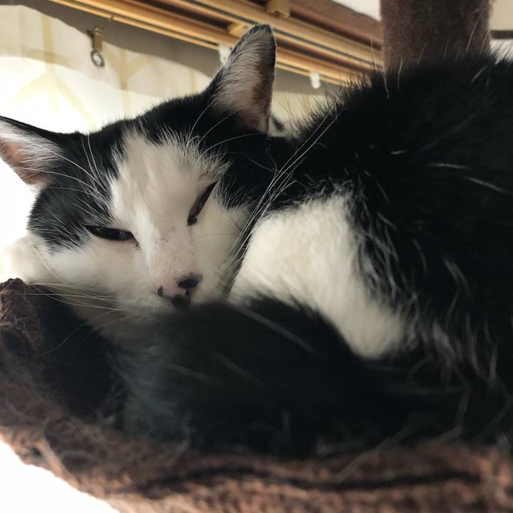 Aaf50e5b 8f1f 4fc8 bf8f f52c85ae6252 1574474564212