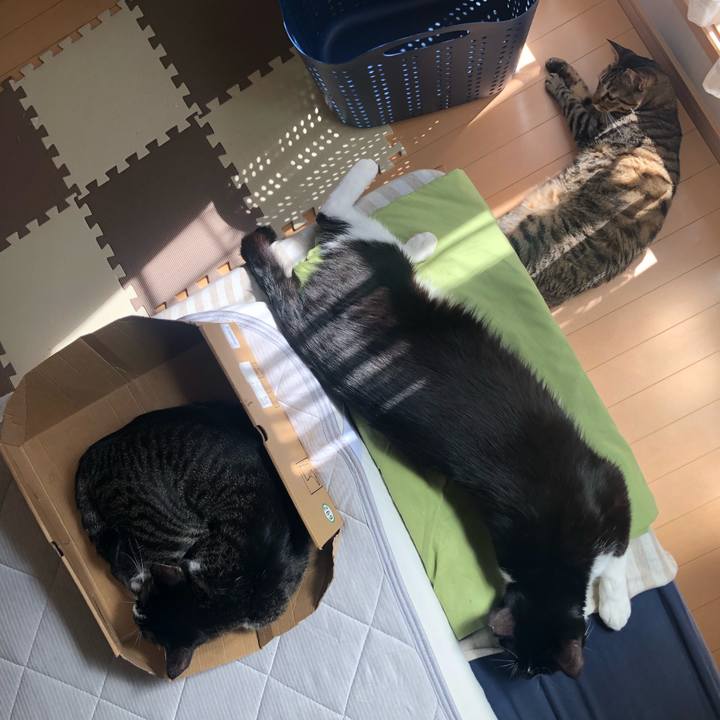 Aaf58aa6 4faf 4ee3 b56b 4f2a858c5fee 1569961313409