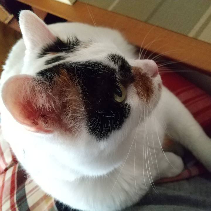 Aaf59806 49bf 4e8d bca9 6c28ccfe71dd 1657440951332