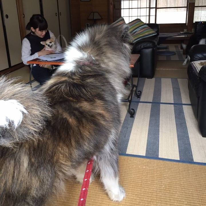 Aaf5a82c c3c5 4ef9 83bc 99e707ee1303 1546001638638