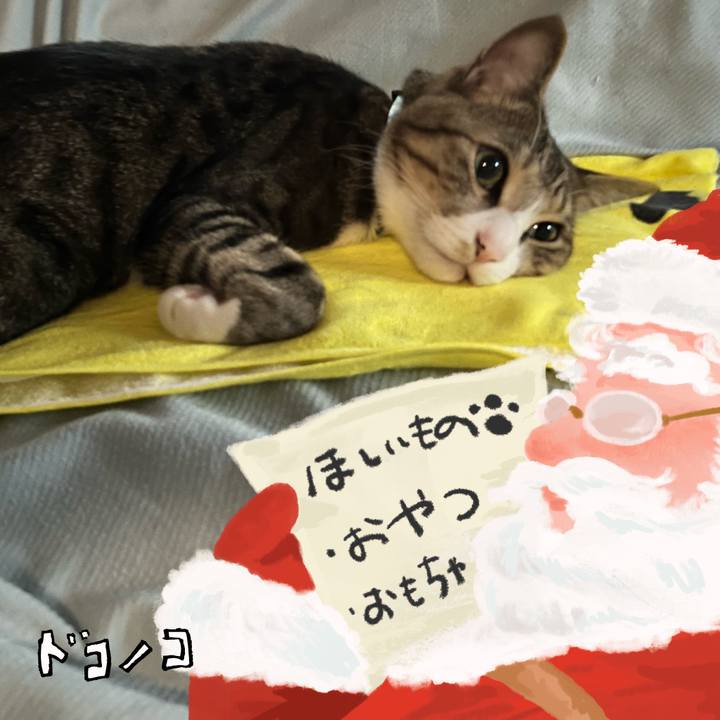 Aaf5aaed a182 4711 8778 a189a9c5a007 1731304103420