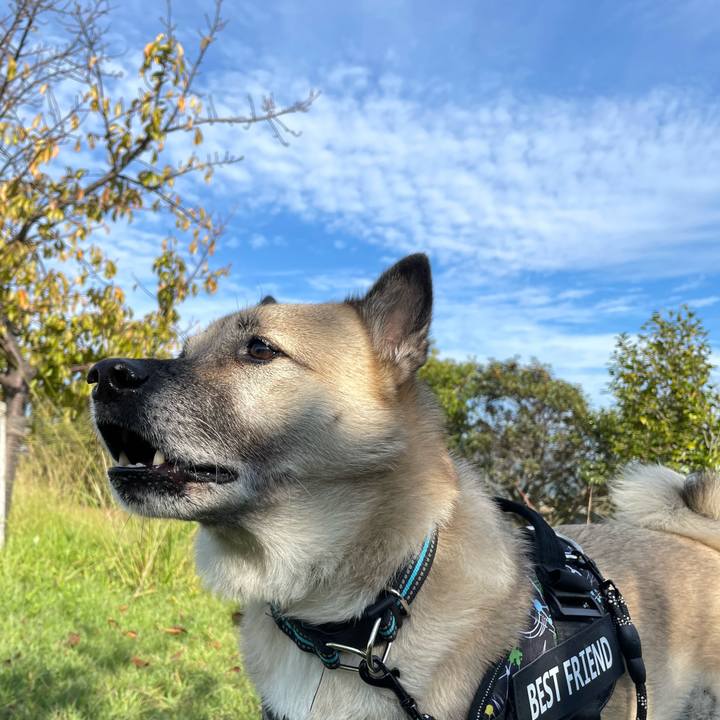 Aaf5bc66 2b16 4a0f 8b45 cfc508c06c5d 1731228348868