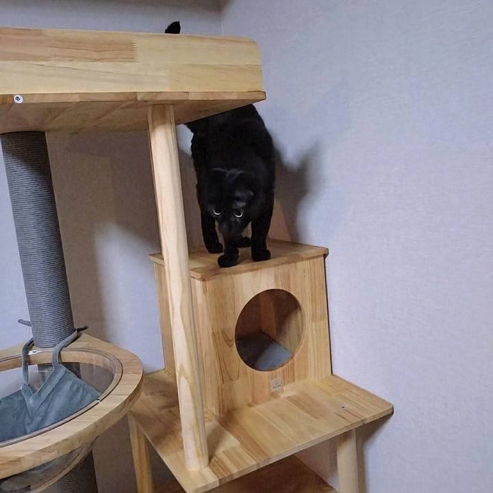 Aaf5f011 eabb 4976 baf1 3d9c3e5c1171 1762258974773