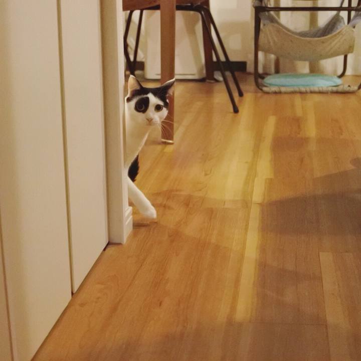 Aaf5f4c2 d252 4d60 84d2 bef4e531b428 1536763814510