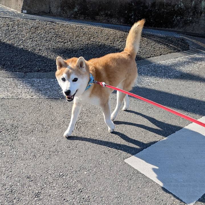 Aaf61d47 96cf 457f b422 826980e8da45 1768916577131