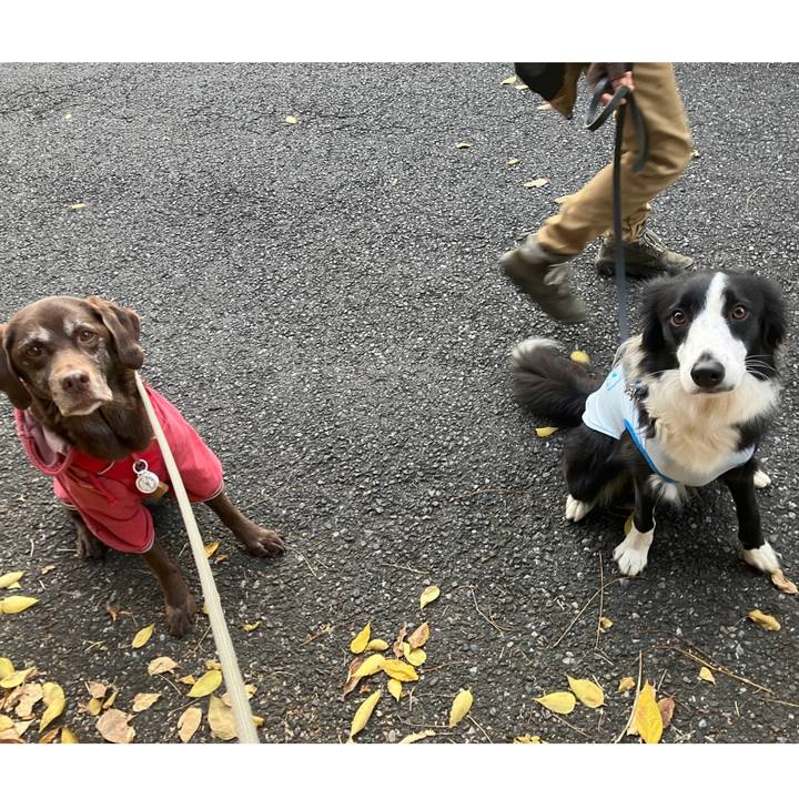 Aaf61db8 5ae0 43f3 9c3c 701ca03a20fd 1764848875942