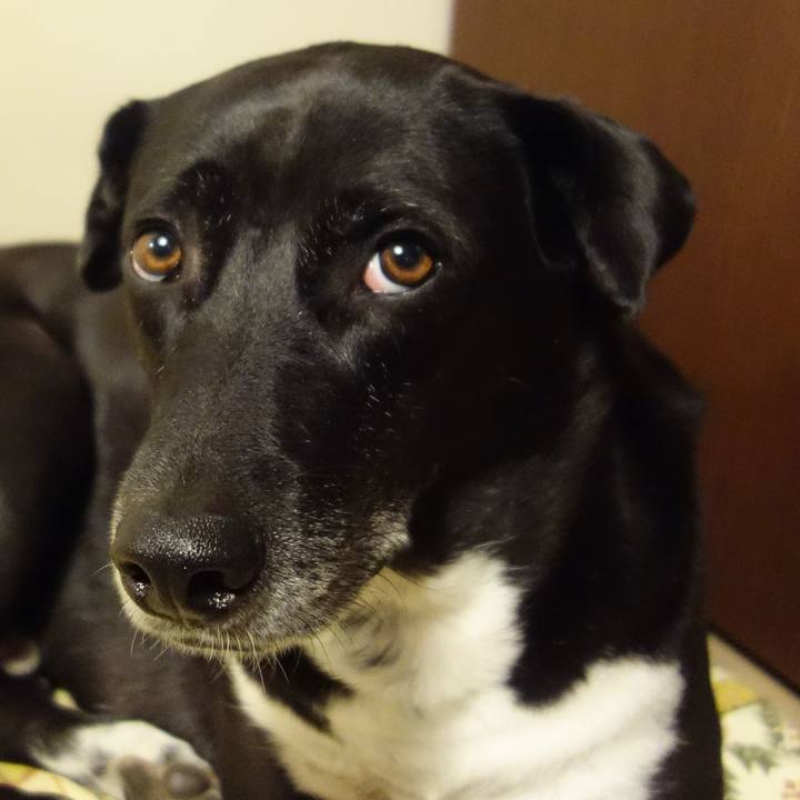 Aaf64222 85b3 4711 b6bc c5840a66a12d 1668770791323