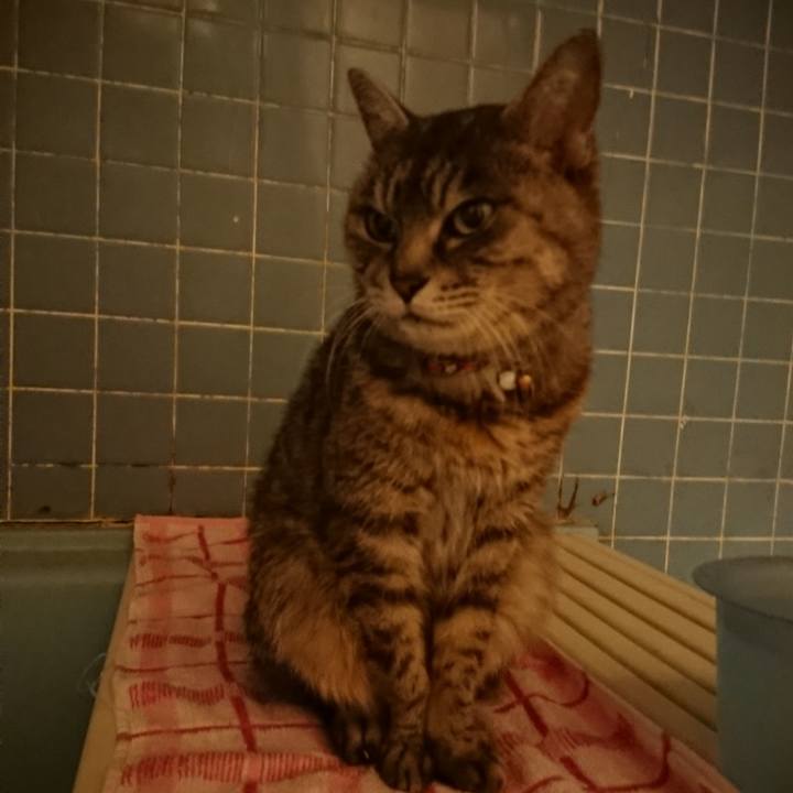 Aaf68203 b1e5 4d64 a837 aafd6cb15e9c 1581673199648