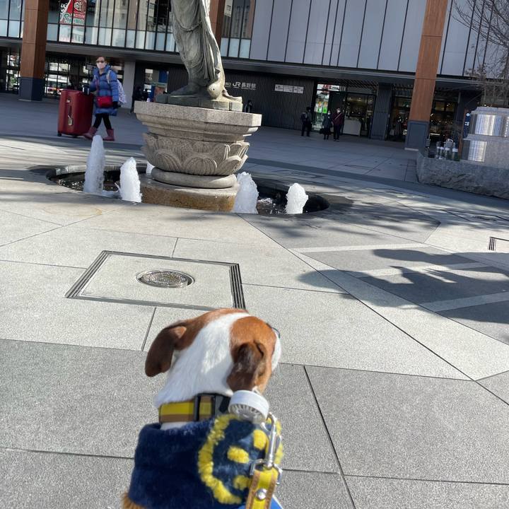 Aaf6cd00 7147 4668 9acd a79a67d5e0d0 1675871308078