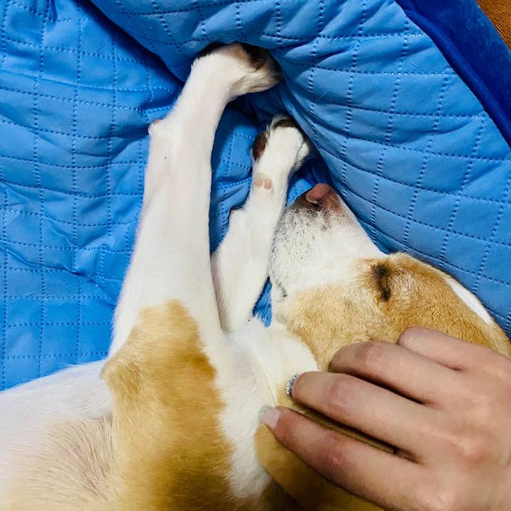 Aaf6cf15 df3a 4768 ab29 8f1038a19079 1658219772665