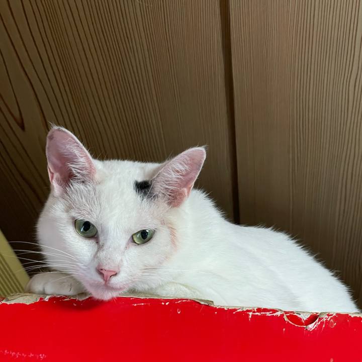 Aaf6d85e 2cbe 4d23 9fb0 51844e87bc85 1757738010498