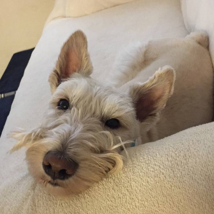 Aaf6f59e 7fc7 4c94 a6a2 c781820ad1de 1513350526787