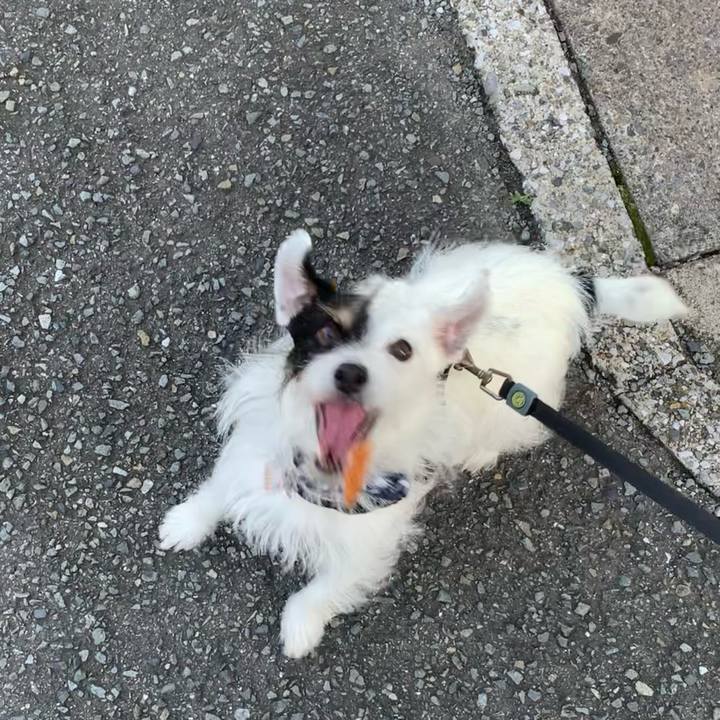 Aaf70fe8 fcc5 4167 a44b d84fe5e43cff 1664526205710