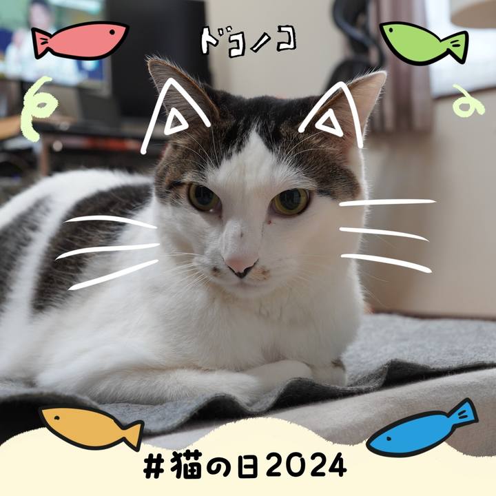 Aaf720ae 41a7 476b 8d0a f43784437b47 1708577347099