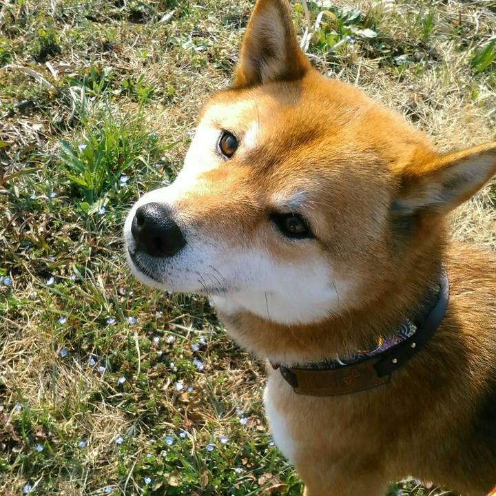 Aaf72531 0b72 423a 802d 9511b6a3d1c6 1520823423123