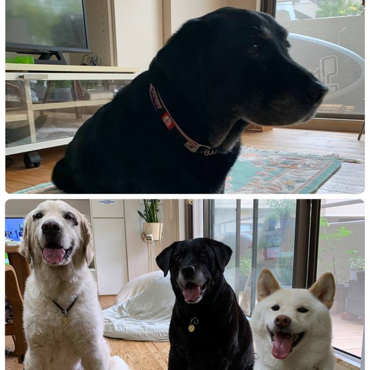 Aaf72b3f 19d7 469f a2bb 4ea19630372e 1667720129310