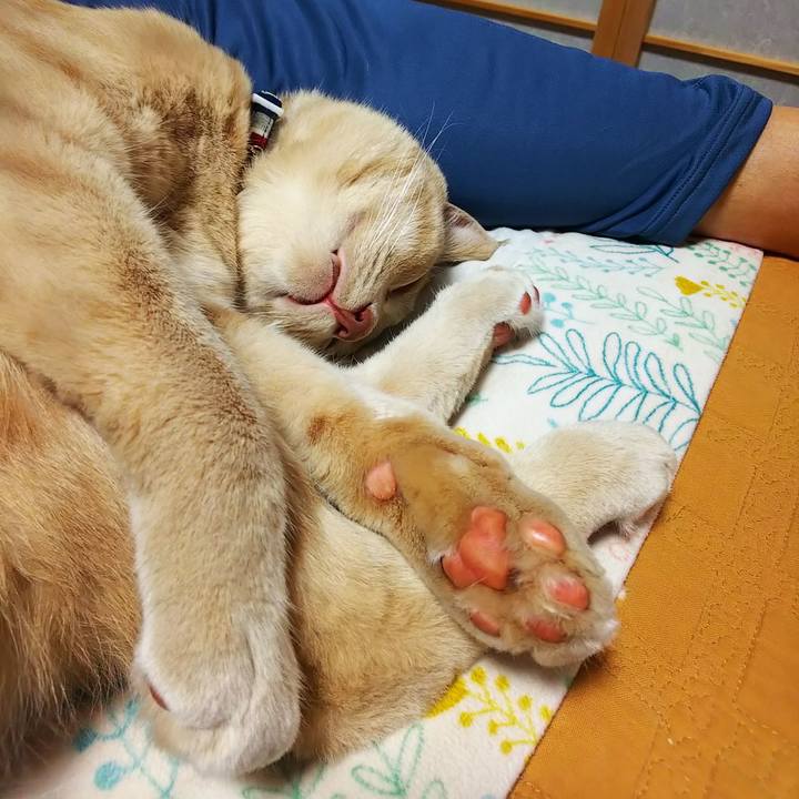 Aaf72d14 7bdb 4c83 a9e3 741c963c978b 1600251655497