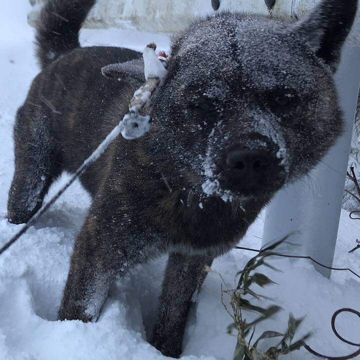 Aaf73d65 f92d 4804 b24e 46238cae1f35 1516920787733