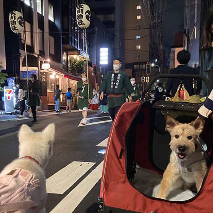 Aaf770b7 9e94 46a4 a01f 2ad2aea2100d 1772271368401