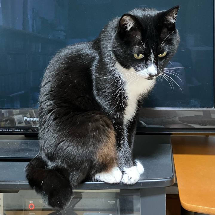 Aaf7c4e5 e4b1 4e18 bdf8 d99870ad0c42 1754278328512