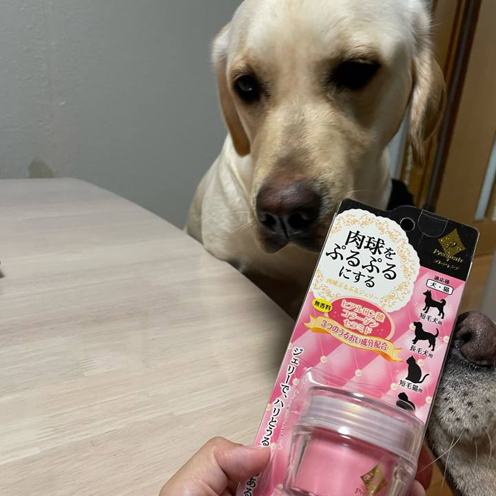 Aaf7cbb9 2532 4046 b366 bb8e455b4625 1651984401166