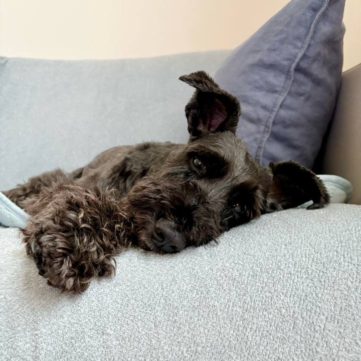 Aaf80ced f889 4d14 90ef edfcb4270cd2 1750809426129