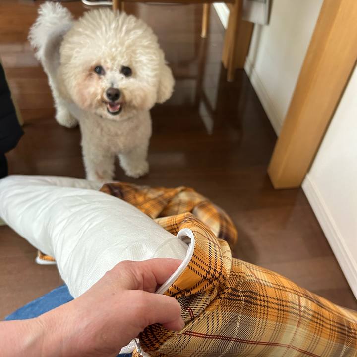 Aaf80f6e 67a8 4c85 8245 8a8616e32da0 1773218087475