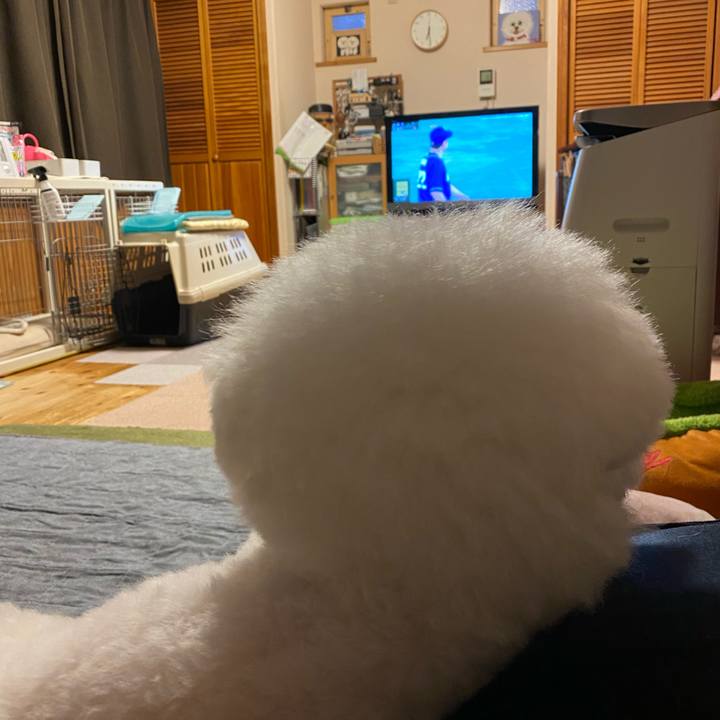 Aaf82649 7f39 45ee 9ee5 1f26ab4cbdf1 1652434207760