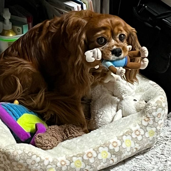 Aaf83ba0 f49f 4c94 8106 07cb2404e180 1669460390212