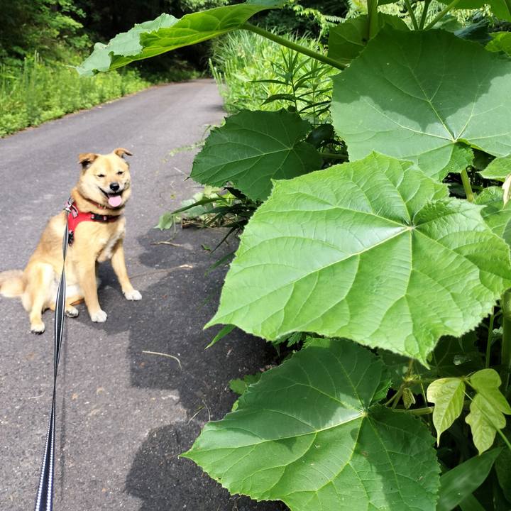 Aaf8440f e0c2 4308 92e0 2ea8aa1fb843 1717409125424