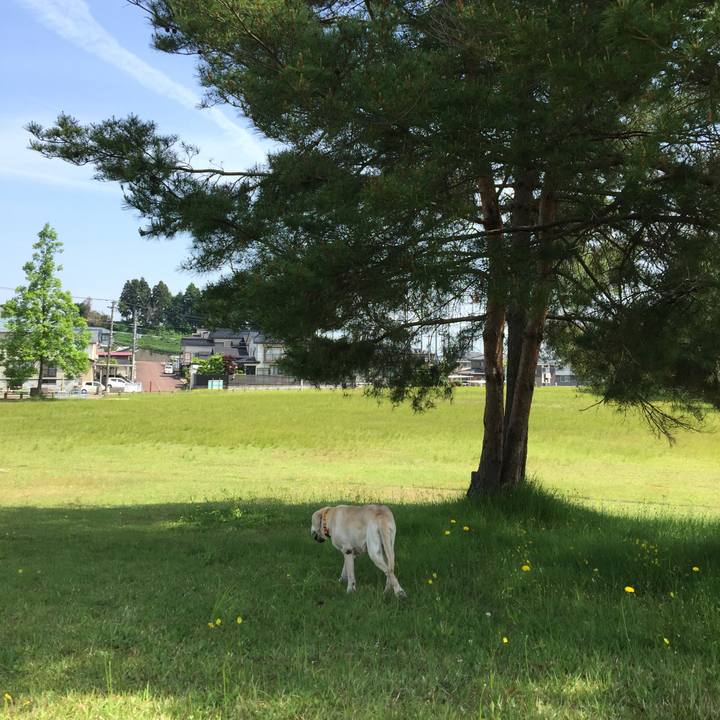 Aaf84d14 0861 40a5 9f0d 3b56df3411cb 1527558740860