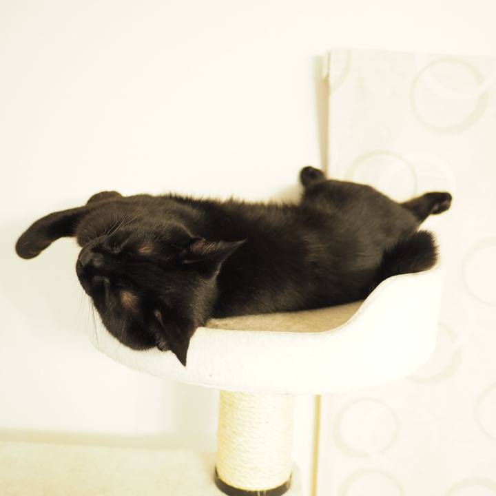 Aaf863be 103f 425b 97bf 9ebe5778b67a 1534603856566