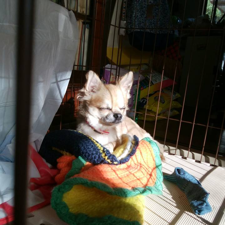 Aaf8a8c5 326f 4db3 be1b 991fbeee8842 1508915556175