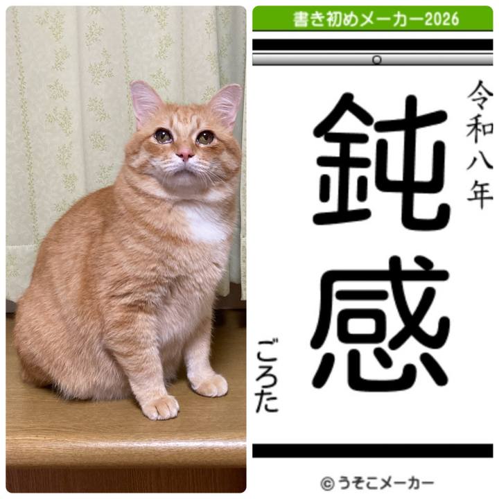 Aaf8abaa 253b 4655 af24 e87afac2c660 1767537771532